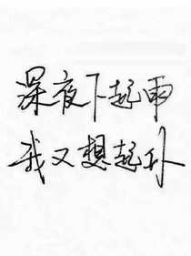 深夜下着雨我又想起你
