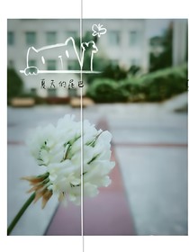 仰望那颗星