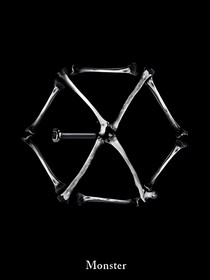 EXO之玫瑰之心