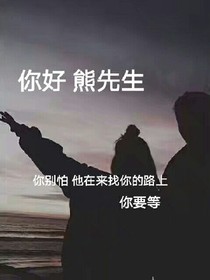 你好我的熊先生