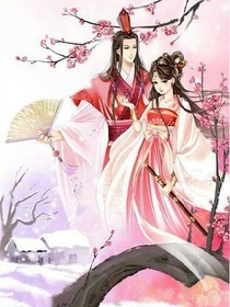 穿越之无心王妃