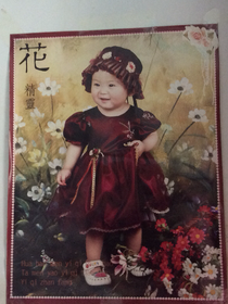 小花仙之安安叛變