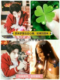 王俊凯，我不会爱你_d070