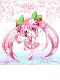 阳光姐妹校园篇