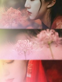彼岸花開一千年
