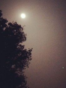今夜有你