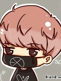 重生之exo哥哥們