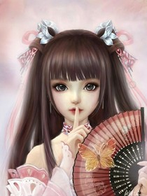 专用图