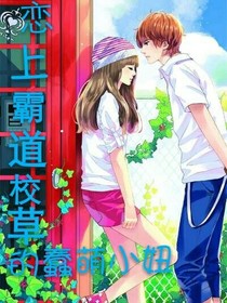 恋上霸道校草的蠢萌小妞