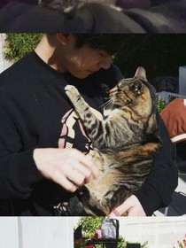 易大佬的甜心巧克力