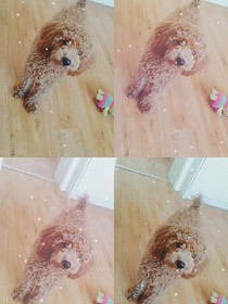 大熊犯二锦集