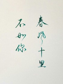 春风十里不如你：一见倾心只为你