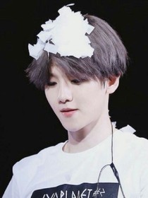 边伯贤家的夫人们