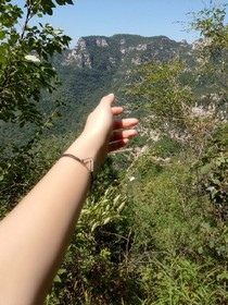 若枫在努力