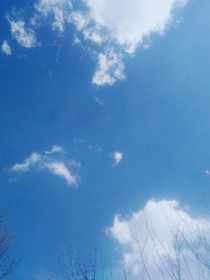 春去春来