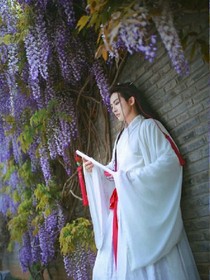 琴师回忆录一