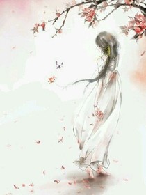 夏微凉梦