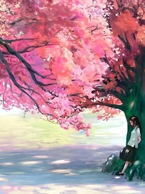 待樱花落下娶我可好