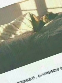 高高在上的总裁