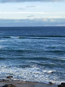 所有人的夢島
