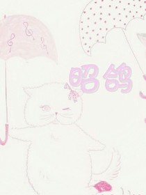 昭鸽