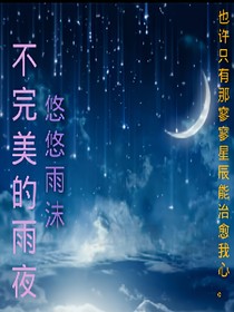 不完美的雨夜