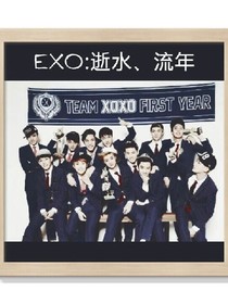 EXO:逝水、流年