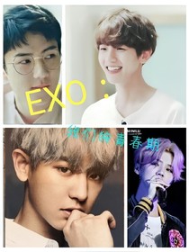 EXO：我们的青春期