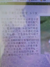 女皇來襲；無人可擋