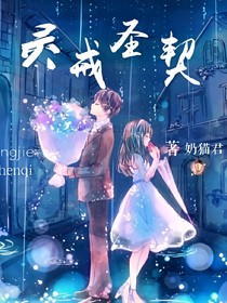 灵戒圣契