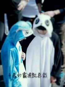 千总的霸道凯总裁