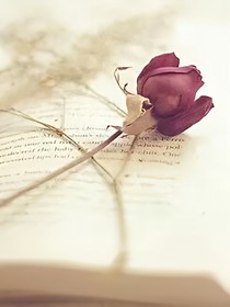 小稻草诗集