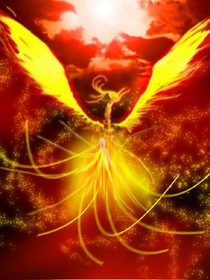 EXO之特种部队:火凤凰