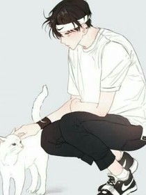 小白的书