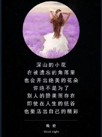 美人醉