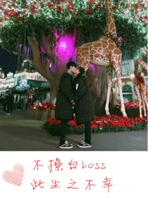 不撩白boss，此生之不幸！