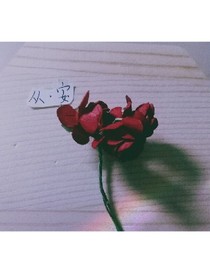 从安