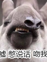 周小姐在等某先生的日子
