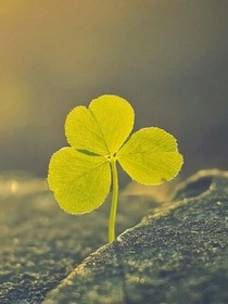 EXO今生注定我爱你