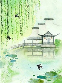 我的校园趣事