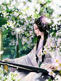 君与狐