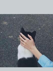 書名正在修改_1558780459423143068
