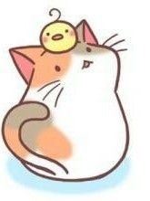 单身狗与猫先生