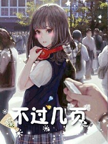 不过几页
