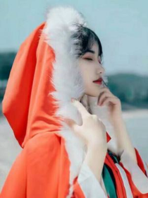 但愿与君渡