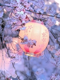 错过便是不在相逢