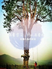 我爱学习，所以我爱你