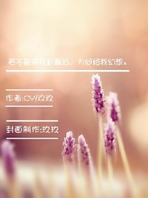 若不能陪我到最后，为何给我幻想。