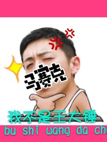 我不是王大锤