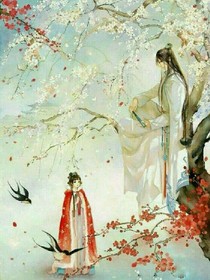 傻妃别逞强:人鱼夫君全会做